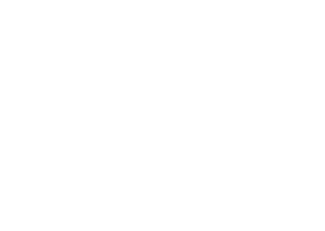 BULLS Logo neu_Berg_Schriftzug_weiß